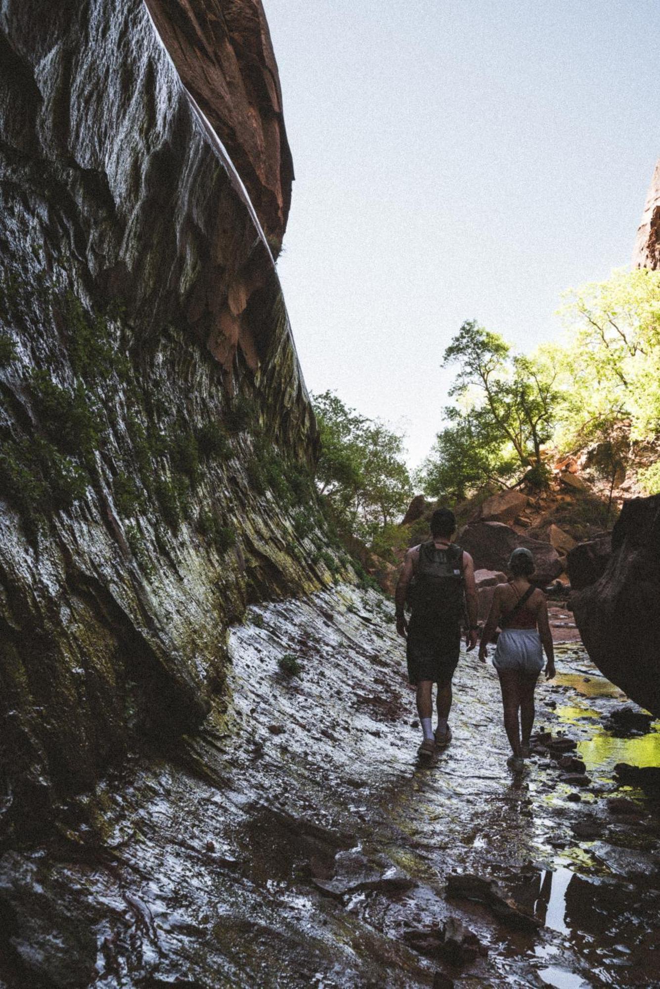 Готель Zion Glamping Adventures Гілдейл Екстер'єр фото